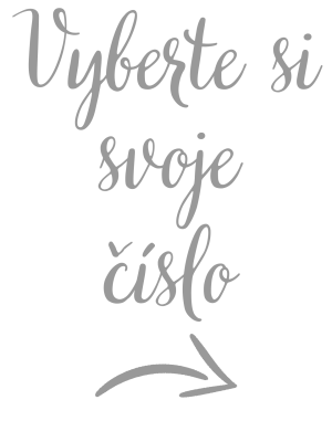 stribrna-cislice-solo.png