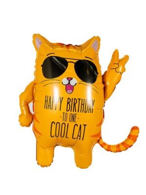 balonek s heliem cool cat