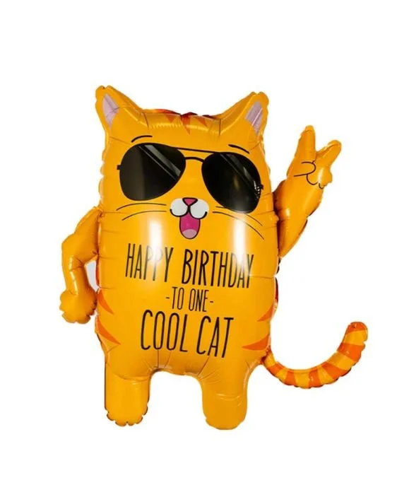 balonek s heliem cool cat