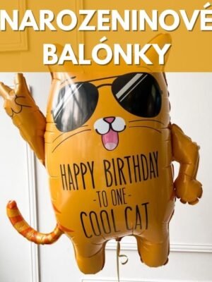 Narozeninové Balónky