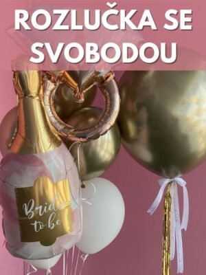 Rozlučka Se Svobodou