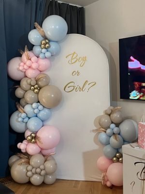 Balónkový fotokoutek - Balónková stěna Boy or Girl