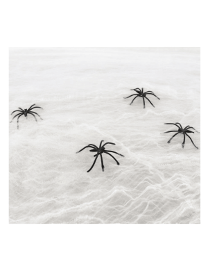 Dekorační pavučina s pavouky – bílá, 20 g