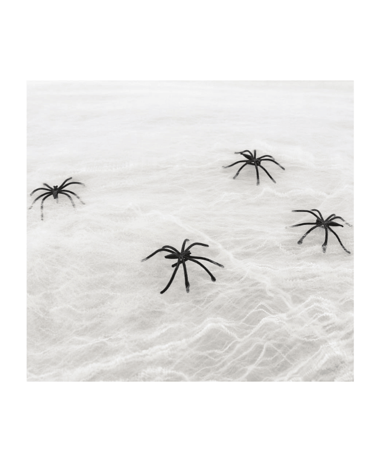 Dekorační pavučina s pavouky – bílá, 80 g